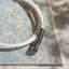 Goodrich Cream/Aqua Indoor/Outdoor Rug-33959930