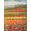 Tapis vert / rouge / jaune Glenarden-2077739685