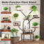 Plant Stand - Set of 10