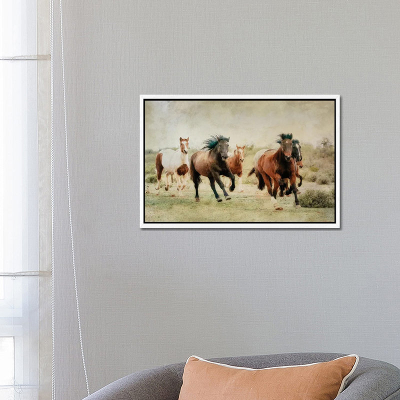 Out Of The Desert by Rhonda Thompson - Floater Frame Print on Canvas