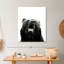 «Snarling Grizzly Bear» sur toile-1469989025