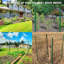 48 cm H x 100 cm W with 1 Panel(s) Included-132200725