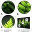 Nirvana vert vert et noir-1133369234-1306294925