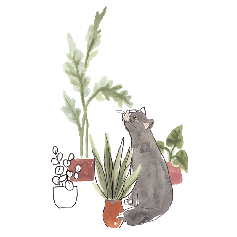 Purrfect Plants IV by June Erica Vess - Painting on Canvas, 122 cm H x 81 cm W, Wrapped Canvas