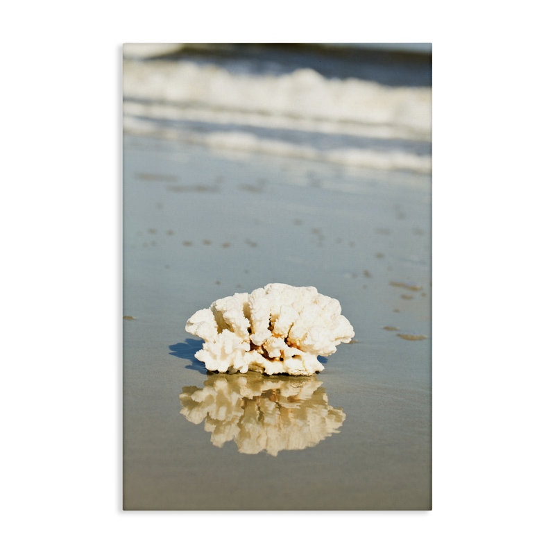 «Coral on Sea Shore», art mural sur toile par Susan Bryant, H 45 po x l 30 po