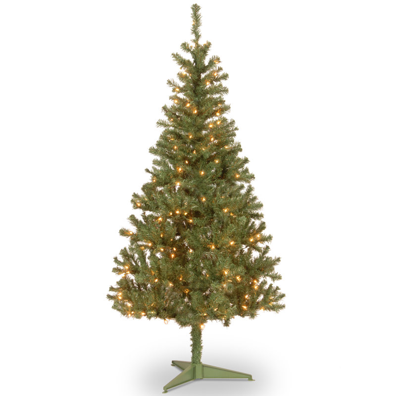 Grand sapin canadien avec lumières claires, H 6 pi