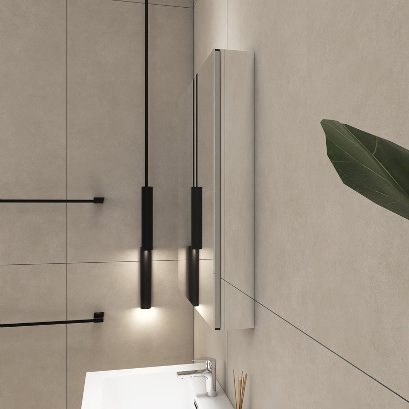 Miroir pour armoire à pharmacie Landseer, Argent, H 30 po x l 24 po x P 5 po