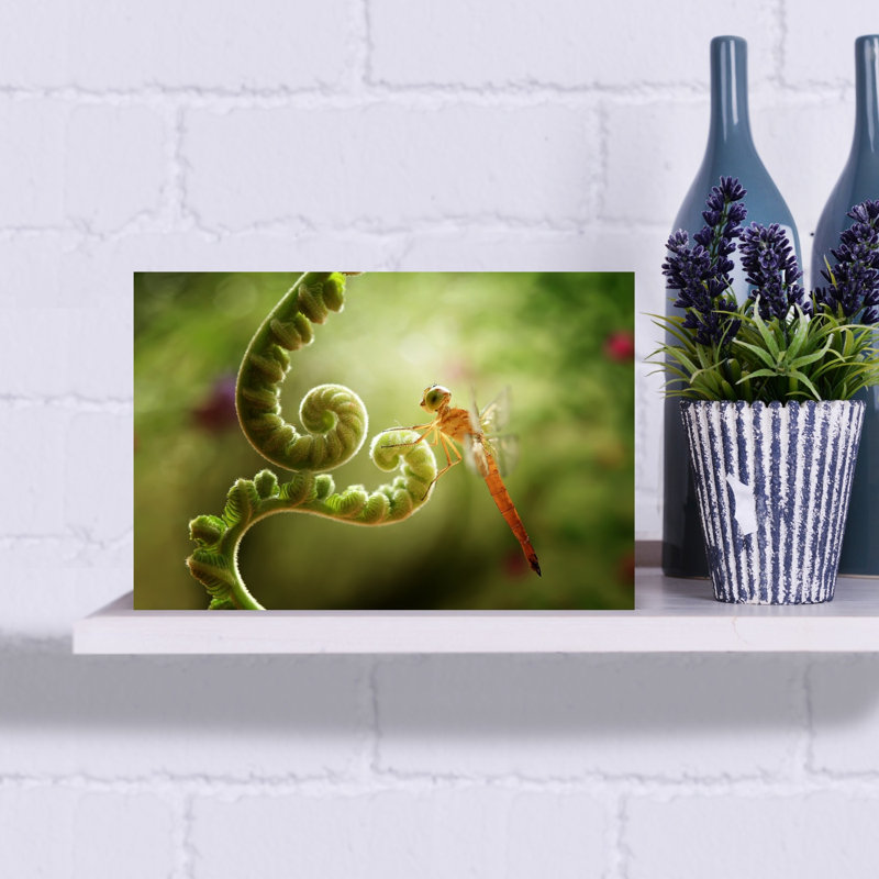 Dragonfly On Fern Spiral Delicate Peaceful Vibrant Dragonfly Fern Nature Summer Wall Art Print by Abdul Gapur Dayak - Print