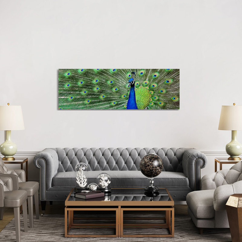 Aqua Peacock - Wrapped Canvas Panoramic Print, 152.4 cm H x 50.8 cm W x 3.175 cm D