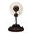Rolf Armed Sconce