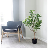 Faux Money Tree Plant in Pot