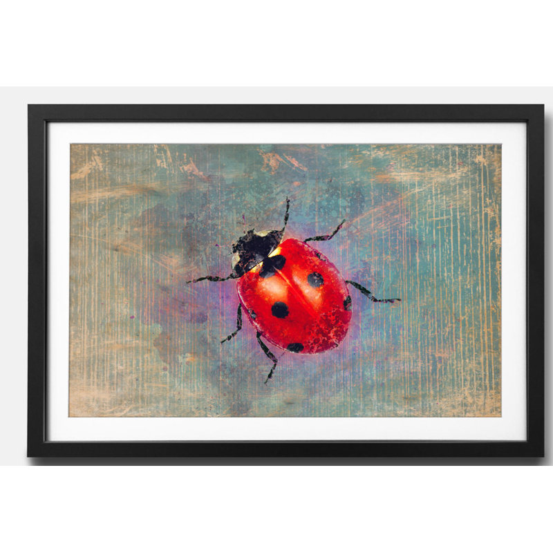 Streetart Ladybug - Single Picture Frame Print, 44cm H x 64cm W x 2.2cm D
