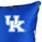 NCAA Square Pillow Cover & Insert-25193408