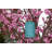 7.5'' Solar Powered Integrated LED Outdoor Lantern