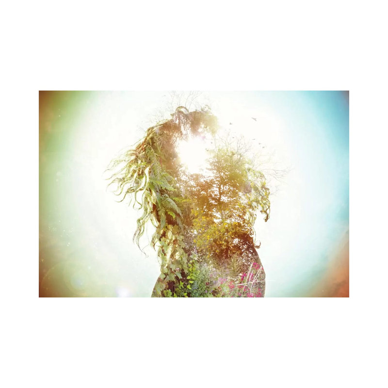 Wisdom by Mario Sanchez Nevado - Print on Canvas, Wrapped Canvas, 66.04 cm H x 45.72 cm W x 1.91 cm D