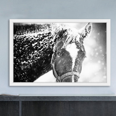 Cadre photo « white cheval mask », impression sur papier