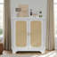 Armoire d'appoint Laneyah avec portes en rotin et tablette réglable