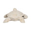 Awanda 10'' Sea Turtle Figurine, Elegant Ivory Item Decor - 10" x 9" x 3"