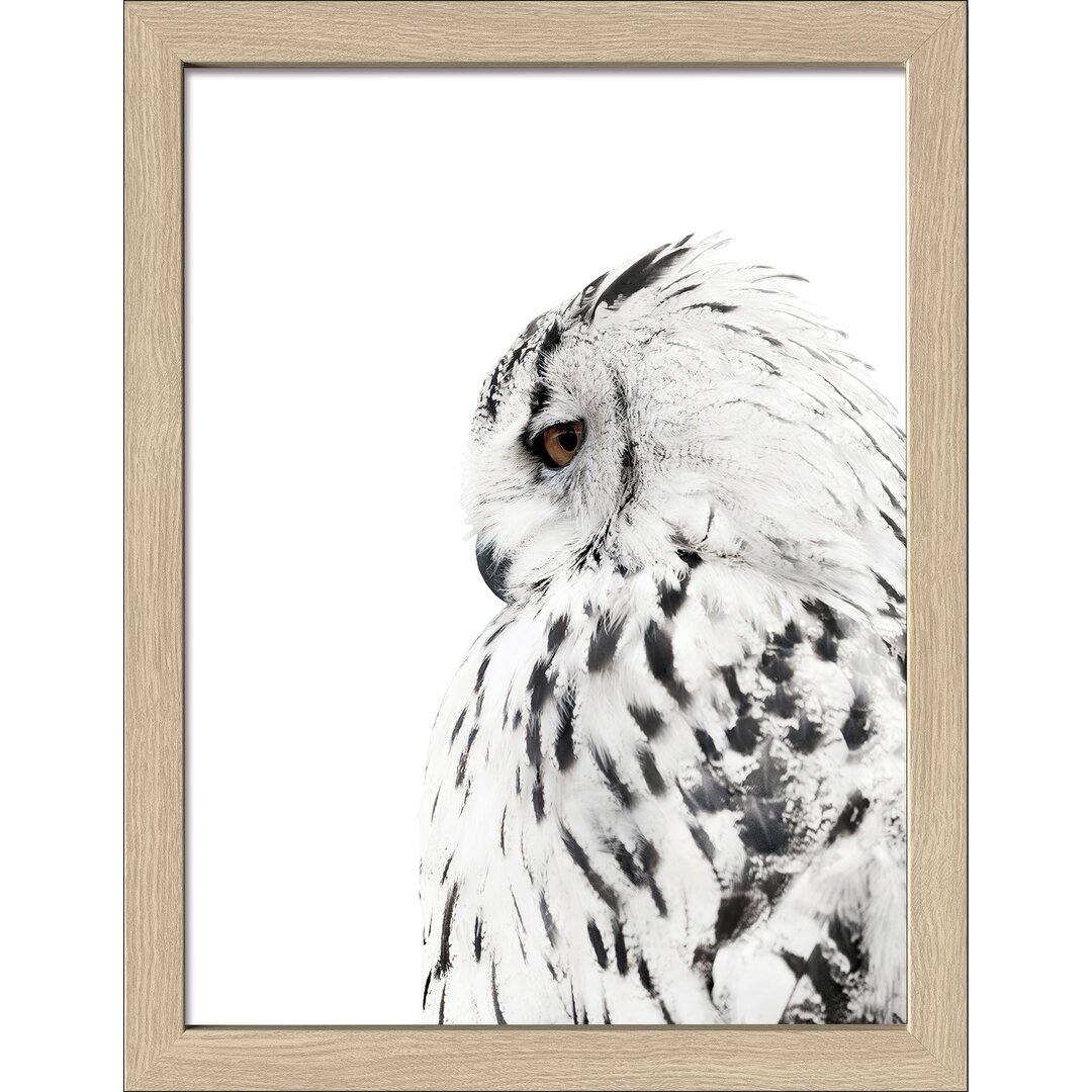 Gerahmtes Poster Snow Owl