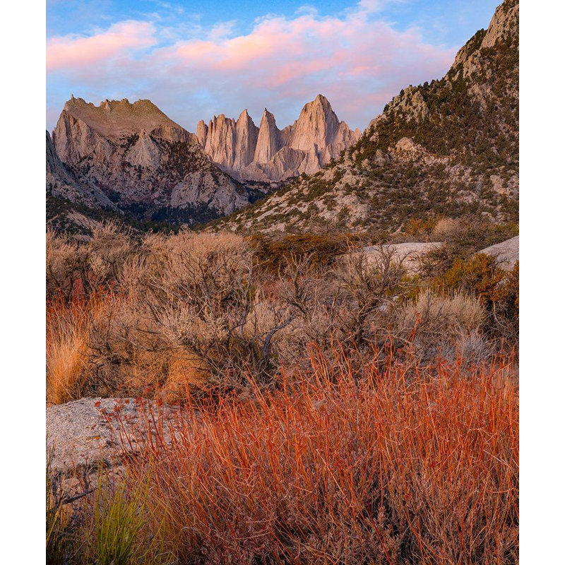 Art sur toile tendue par Fitzharris, Tim Whitney, Eastern Sierra Nevada, Californie, États-Unis, H 23 po x l 20 po