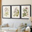 «Vintage Flowering Trees I», reproduction sur mesure encadrée de qualité supérieure - 3 pièces-45663699-45663698