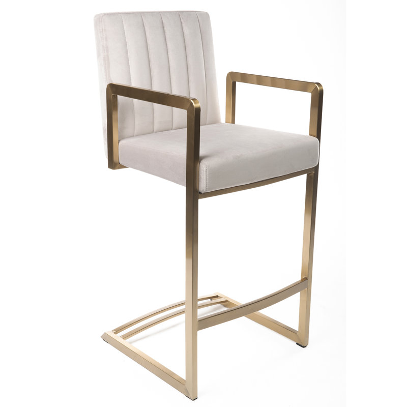 Tubo Brass Stainless Steel Upholstered Velvet Seat Counter Height Barstool with Arms, Gray