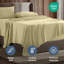 Ensemble de draps en micro-fibre-238553913-238553857