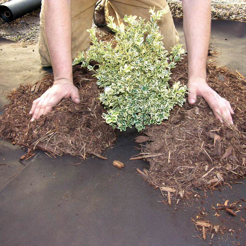 Barrière anti-mauvaises herbes en tissu Pro Landscape