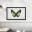 Vert forêt-papillon-impression sur papier-62471575