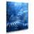 Toile tendue
