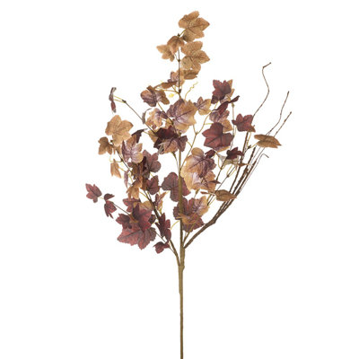 Arrangement