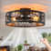 50cm Farmhouse Reversible Caged Ceiling Fan with Light Kit and Remote
