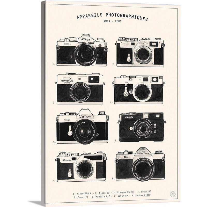 « Cameras » par Florent Bodart-impression d’art graphique sur toile, Toile tendue, H 48 po x l 36 po x P 1,25 po