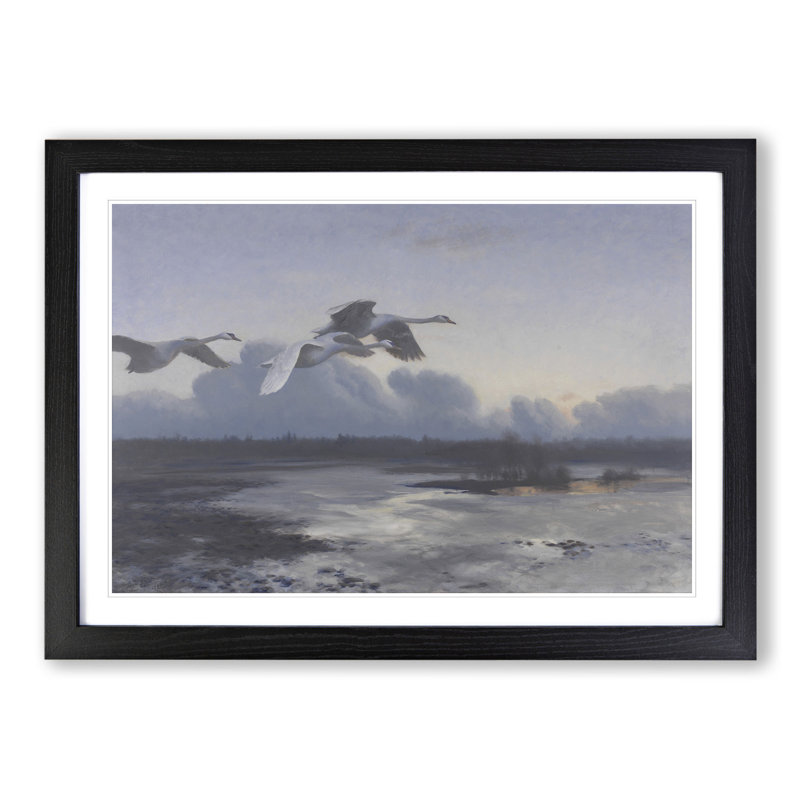 Swans in Flight Vol.1 by Bruno Liljefors - Picture Frame Painting, 27cm H x 36cm W x 2cm D, Black Framed