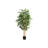Artificial Plant