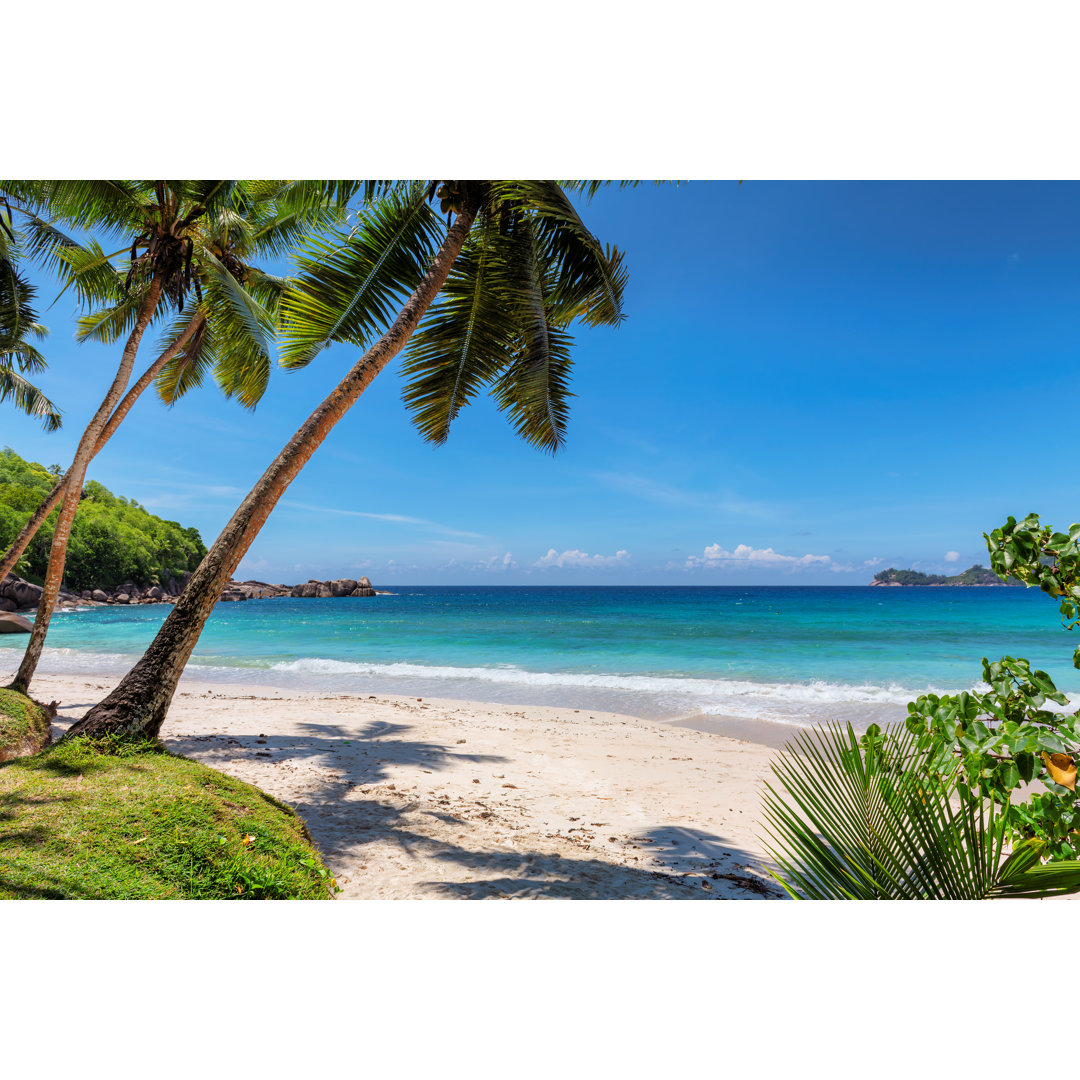 " Palms On Tropical Beach " by Lucky Bay Isle Home™ 