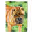 Shar Pei blond sélectionné