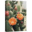 " Blooming Cactus Flower Photography Floral Botanical Southwest " on-99543569