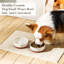 Anti-Skid Pet Bowl-114642038