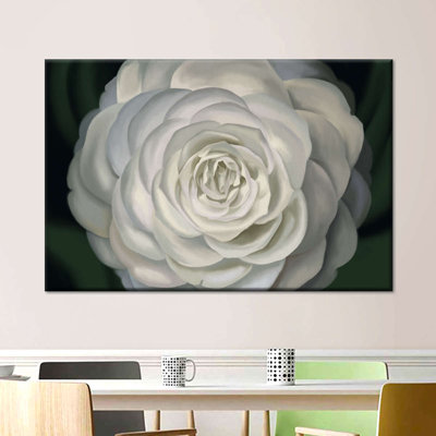 " Camellia "