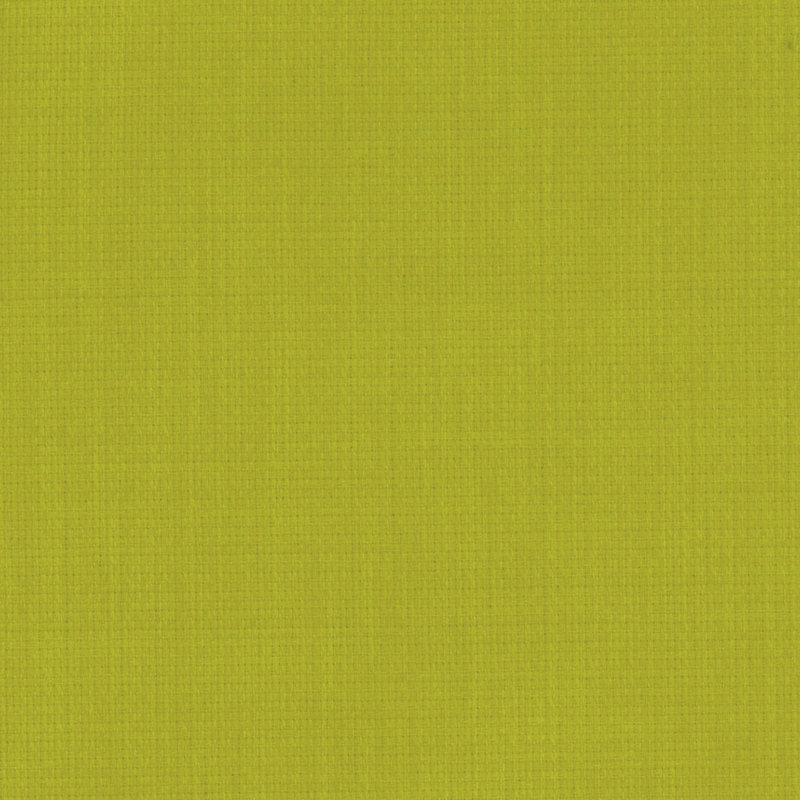 Outdoor 6'' Seat / Back Cushion, Lime
