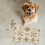 Tapis d'alimentation en forme d'os 1 pièce Creamy Hues