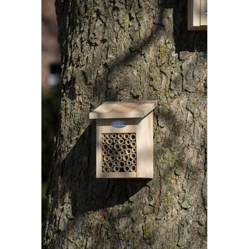 Bee House in Giftbox Fsc 100%