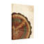 Plantes et fleurs, motif d'anneau d'arbre sur toile-1597727427