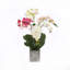 Real Touch Phalaenopsis Orchid Floral Arrangement in Pot