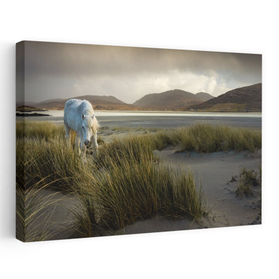 «White Horse On Dunes», reproduction d'art dramatique paisible et serein