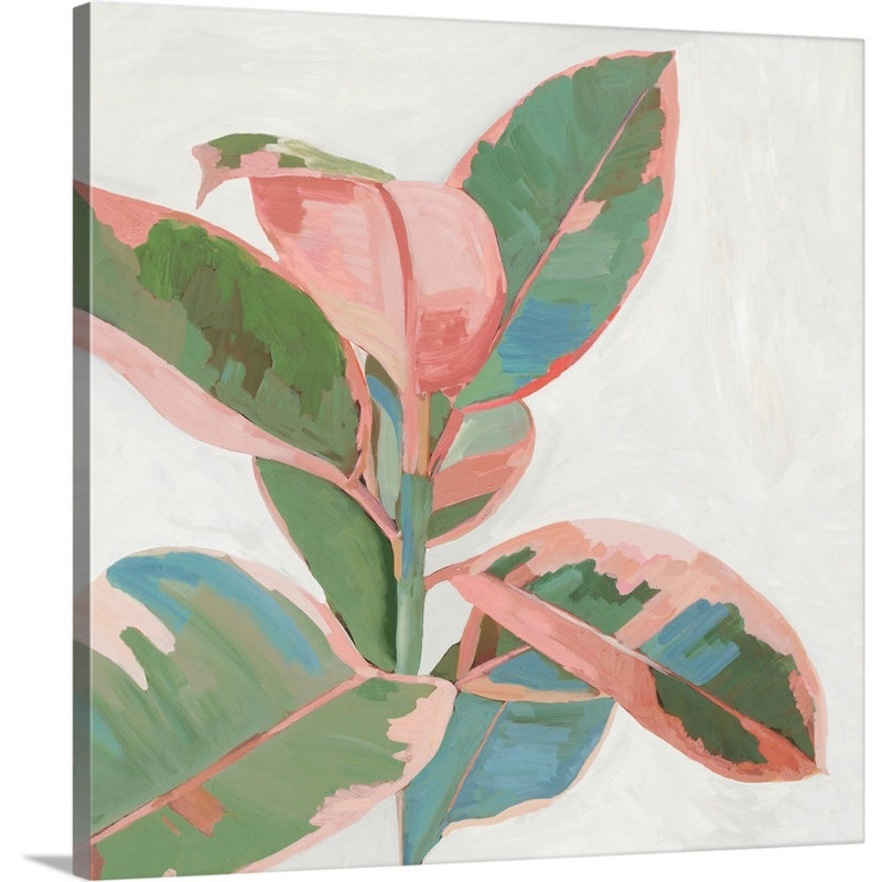 «Pink Ficus I», art mural sur toile, Toile tendue, H 20 po x l 20 po