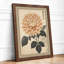 Chrysanthemum Study Japandi - Framed Print-109229555-109229566