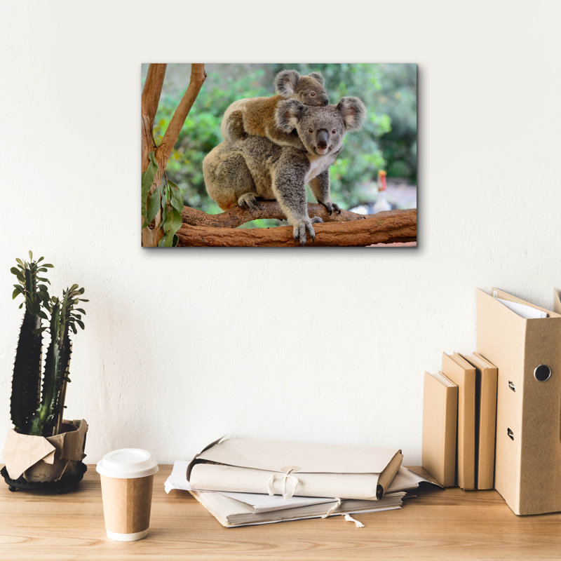 'Koala' by Epic Portfolio, Canvas Wall Art, 12" H x 18" W x 0.75" D