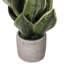 Faux Snake Plant Plant in Cement Artificial